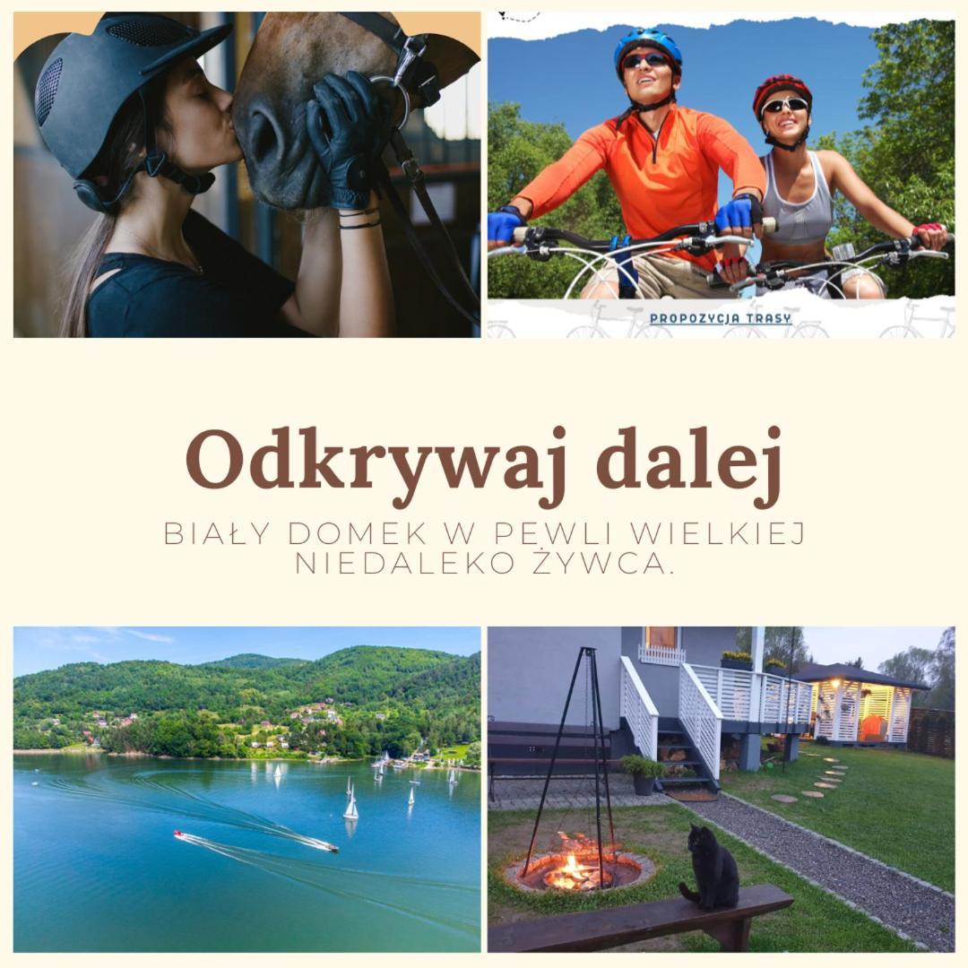 Holiday home Bialy Kolo Zywca *