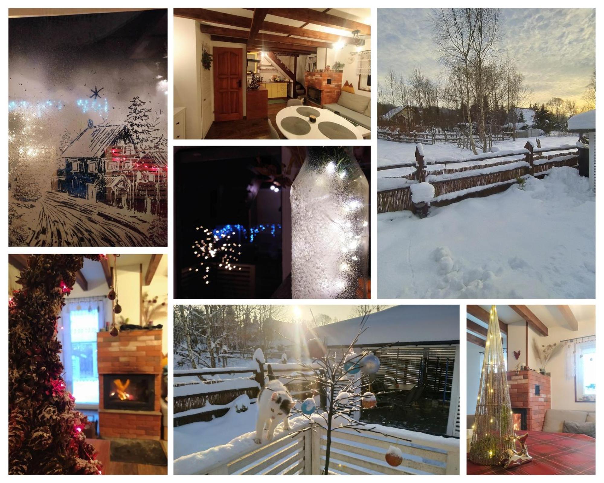 Holiday home Bialy Kolo Zywca *